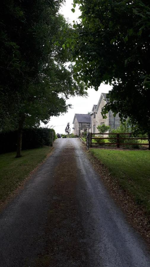 Lorum Old Rectory Bagenalstown Ngoại thất bức ảnh